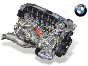 n54