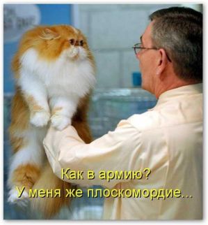 36955b9fa760