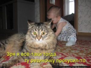 1352134237 lol54.ru kotomatrix 040