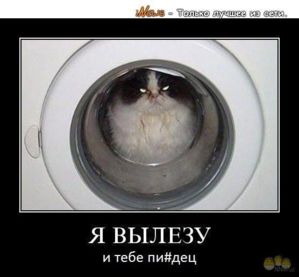 1358853906 be 1e7n7zvc
