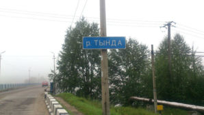 Тында