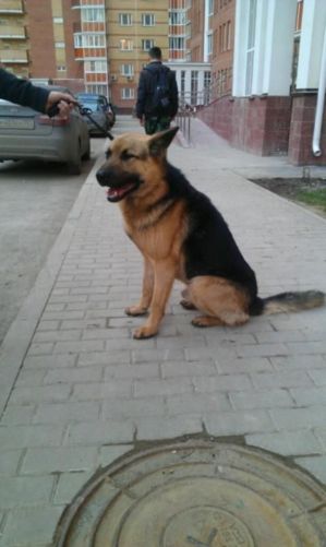 62a6c057d0082b8e5fd300a80d8d0d9d