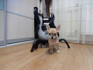 DSCN0143