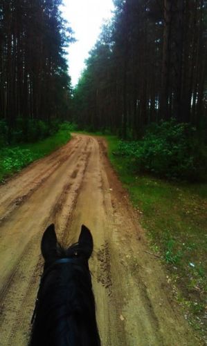 а знаете ли вы,что я на коне?