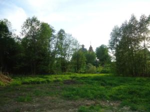 DSC00393