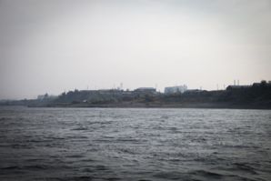 IMG 0532