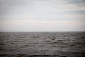 IMG 0559