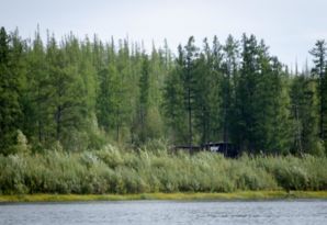 IMG 0738