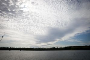 IMG 0748