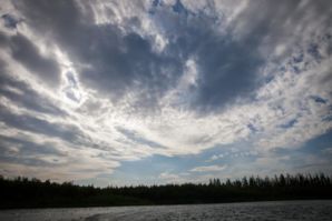 IMG 0759