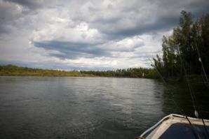 IMG 0795
