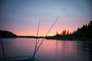 IMG 0823
