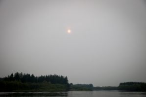 IMG 0874