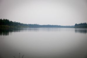 IMG 0883