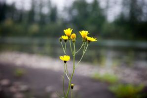 IMG 0885