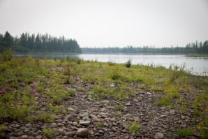 IMG 0891