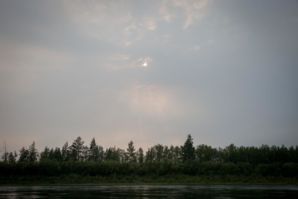IMG 0908