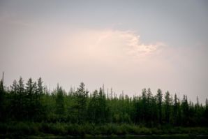 IMG 0916