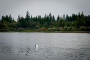 IMG 0961