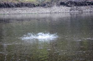 IMG 7054