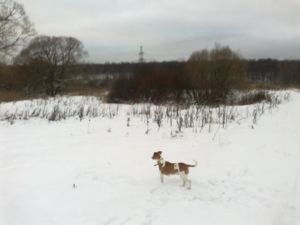 14012012100