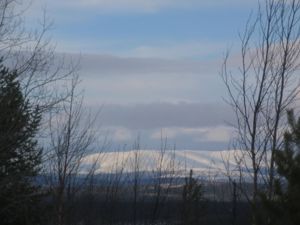 IMG 8224