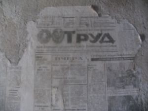 IMG 8181