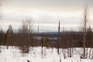 IMG 9571