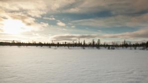 IMG 9593