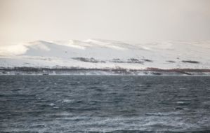 IMG 9613