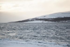 IMG 9614