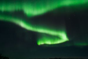 IMG 9696