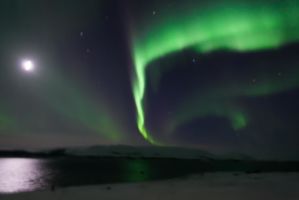 IMG 9700