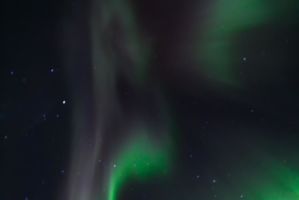 IMG 9715