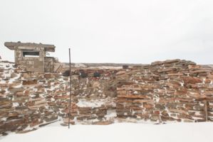 IMG 9763