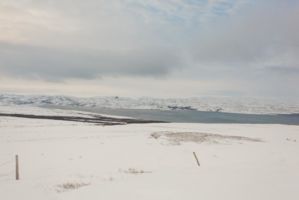 IMG 9773