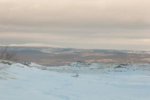IMG 9817
