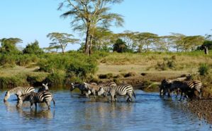 africa0218