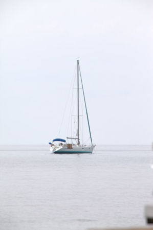 IMG 0549