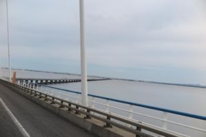 IMG 2775
