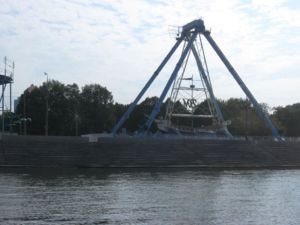 IMG 0087