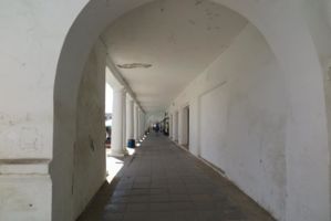IMG 3434