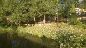 WP 20150731 005