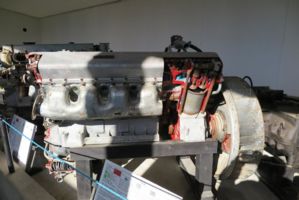 IMG 4494