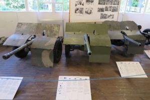 IMG 4537