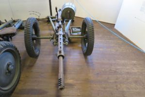 IMG 4538
