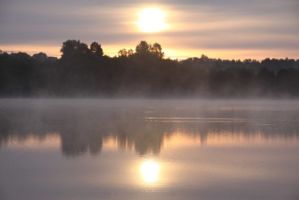 2010 год