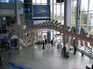 318442