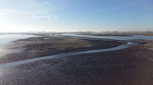 323141