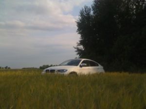 Всячина